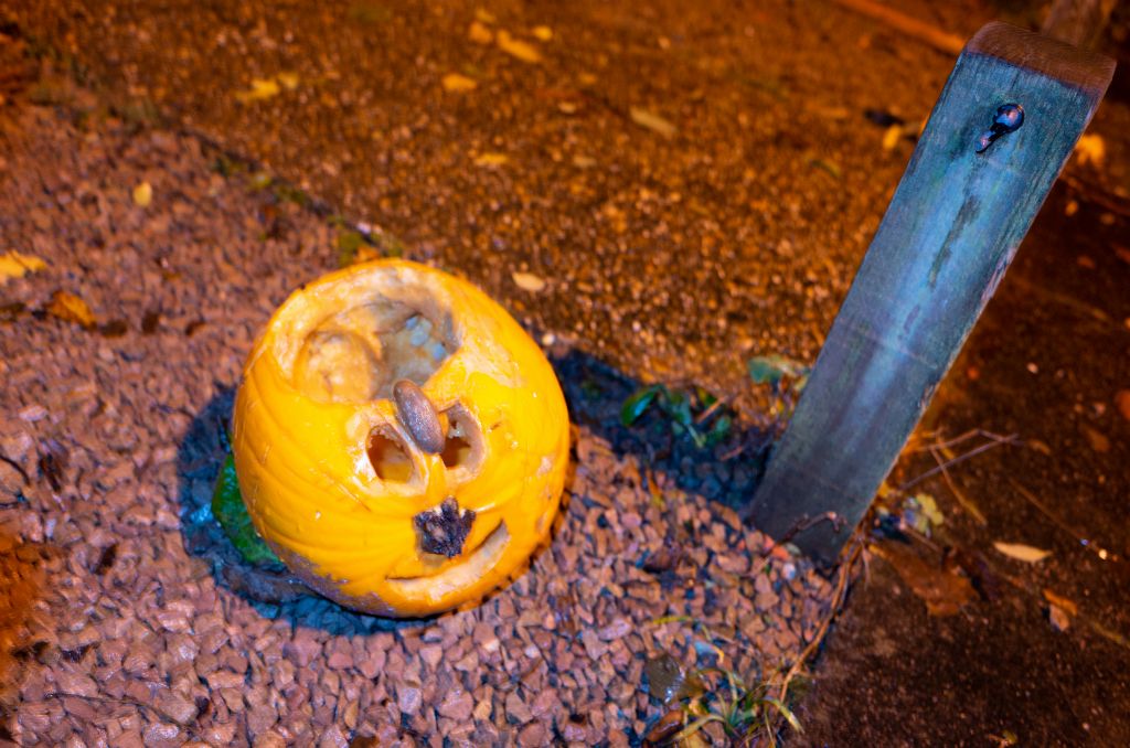 A hallowed out pumpkin with a carved smiling face has a large slug travelling inbetween the eyes.