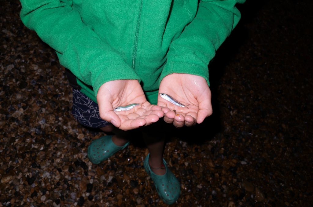 A young person holds out their open hands each of which hold a small fish. They are wearing a green fleece and green sandals.