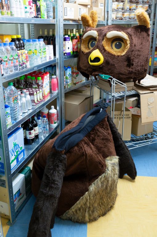 A owl inspired mascot suit lies empty but oddly animated due to the head's position, two foot higher than the torso, on a trolly. The scene is in a back stockroom of a shop with soft drink bottles on stainless steel shelving.